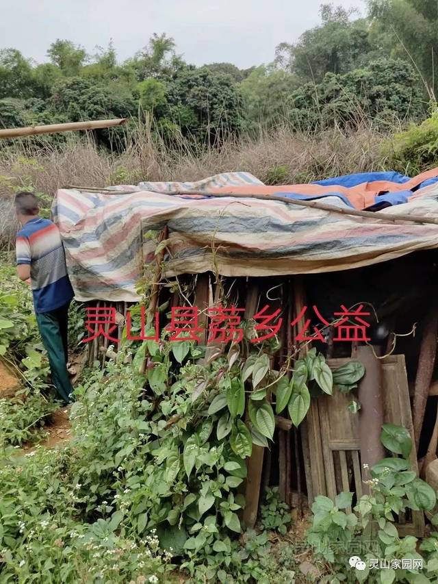 灵山十三岁女孩的"篱笆厨房",现希望得到各界爱心人士的帮助!