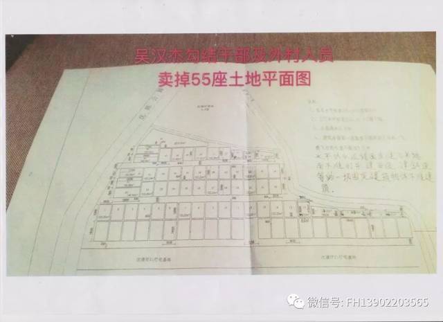 广东湛江:揭露雷州沈塘村经济合作社集体土地被违法侵占内幕