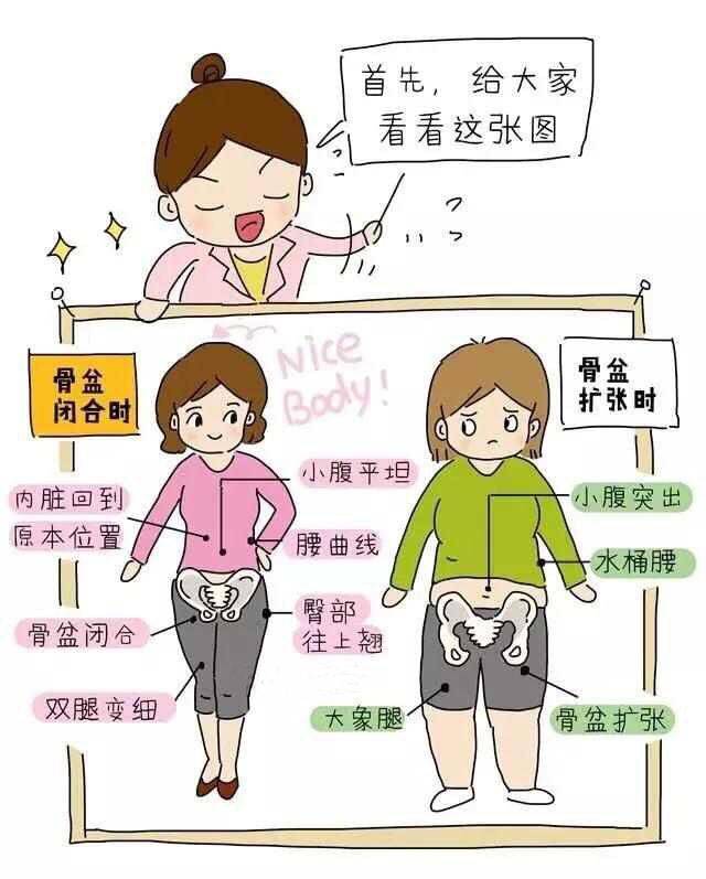 产后盆底康复?骨盆修复?傻傻分不清楚!