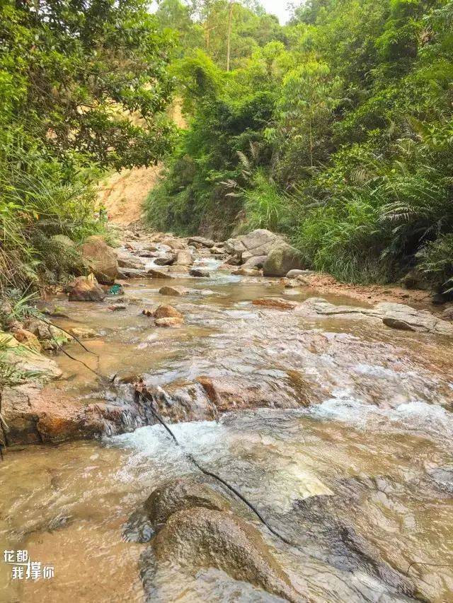 狮 前 村  地址:花东镇山前旅游大道狮前村 蟾蜍石水库直走 可以在