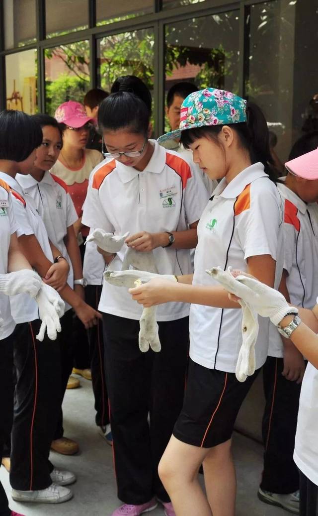 厦门中小学要换校服了!超洋气!有人却怀念起