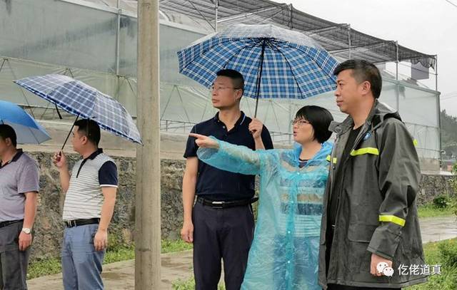 遵义这个地方突遭大暴雨!多处"浸大水"还有的是