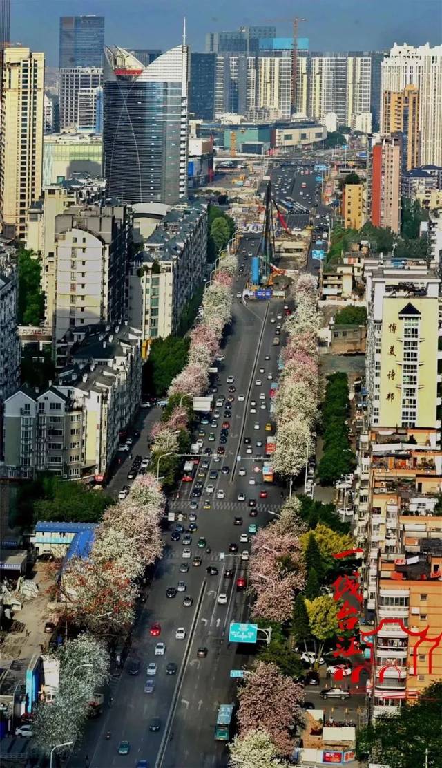 达道路,南园路,老药洲街,河下街……在吃货界,这些街道可以说是闻名