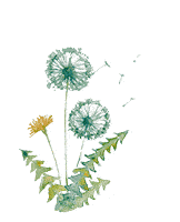 蒲公英蒙特梭利实验园 微信:18928602101 电话:22617191 22617261