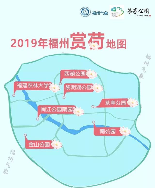 福州7大公园荷花盛放!这份赏荷攻略快收好!