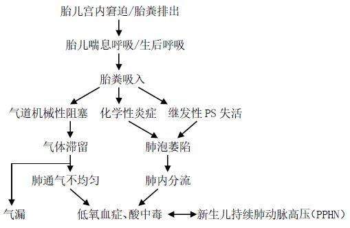 足月新生儿出生不久出现气促,发绀,你知道如何处理吗