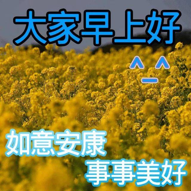 阳光七月早上好图片 最新版适合群发早晨祝福表情