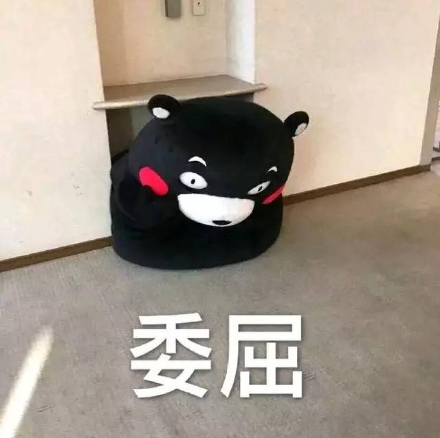 日本著名演员怒退ins,原因让人哭笑不得