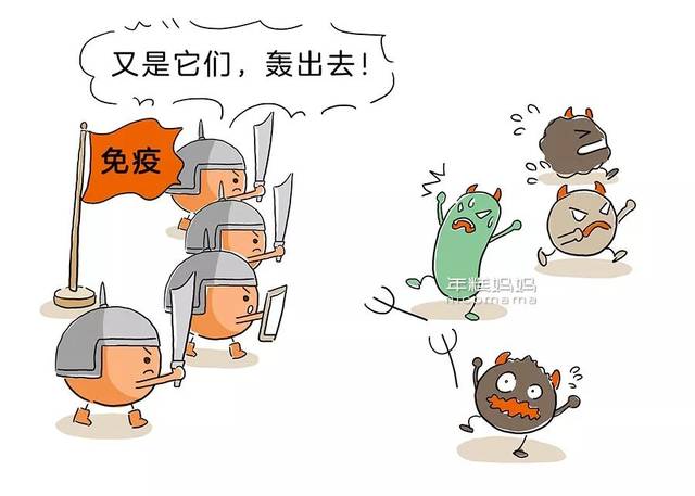 没有抗体怎么办 搜狐网