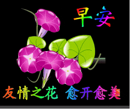 2019早上好表情图片合集 早晨祝福语动画