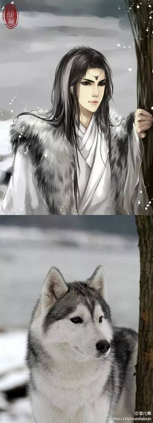 妖孽啊~~动物拟人古风图片
