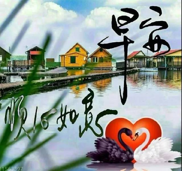 特别漂亮的早上好问候语表情美女图片,特别新的早上好