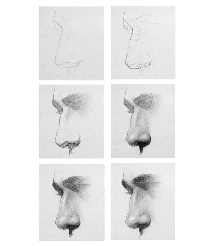 画画教程:如何画鼻子?