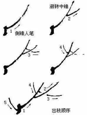 国画梅花的各种画法,很全了