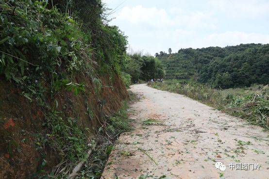 会昌筠门岭镇集中清理整治因暴雨引发的路面塌方,村道