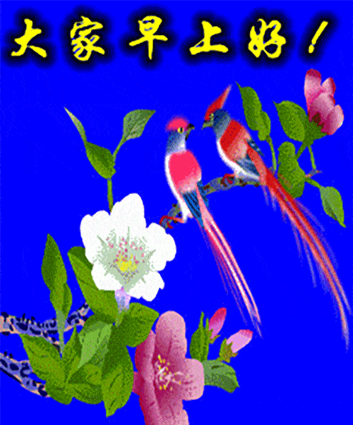 微信群发问候早上好祝福语短信句子 群发的早上好图片带字动态表情