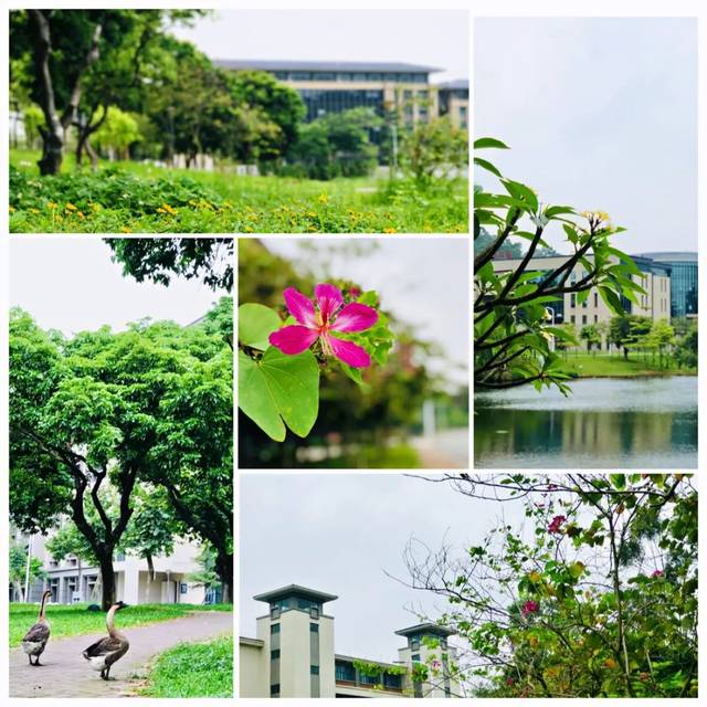 这,就是东莞理工学院城市学院!