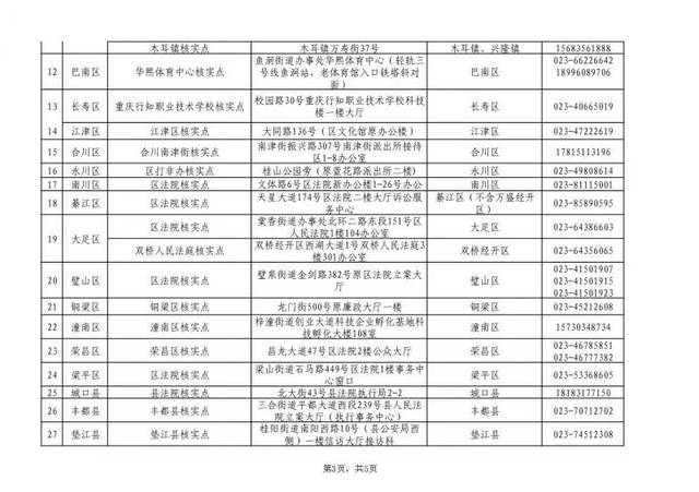 重庆市人口普查正式登记信息_普查人口登记表格图片(3)