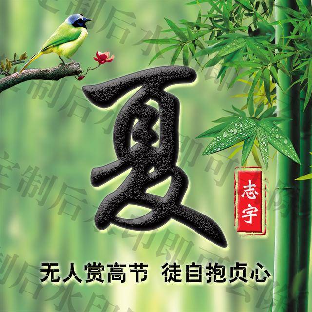 中国风竹报平安姓氏签名头像,走进竹林深处,一