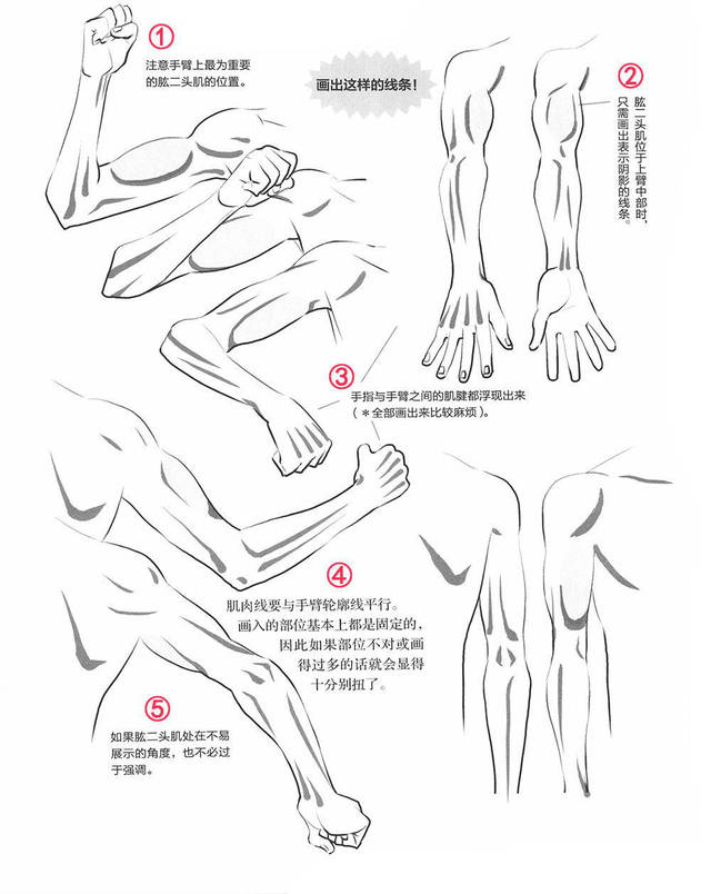 动漫人物手臂的画法,教你如何轻松绘画人物的手臂!