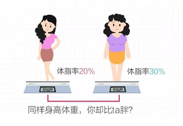 体重秤≠体重 体脂秤=体重 体脂肪率 肌肉量 骨量 皮下脂肪 内脏脂肪