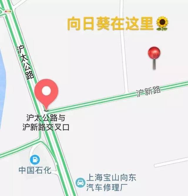 宝山罗泾镇塘湾村 地址:沪新路东侧 时间:花期为6月至9月 *免费 地铁