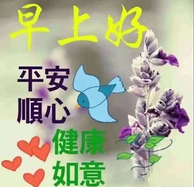 温馨早安问候语图片 超幸福暖心的早安漂亮祝福动态美