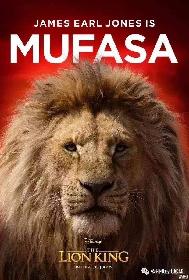 狮子王丨 7月12日,影院撸大猫!