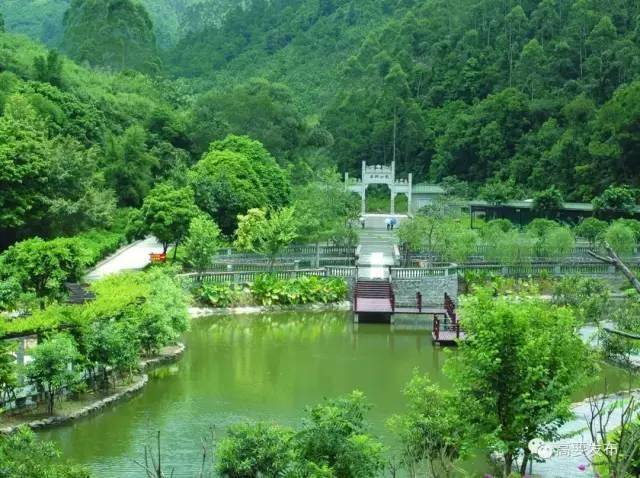 快乐祈福 本次徒步路线将经过 省级森林公园——金钟山,公园内有观音