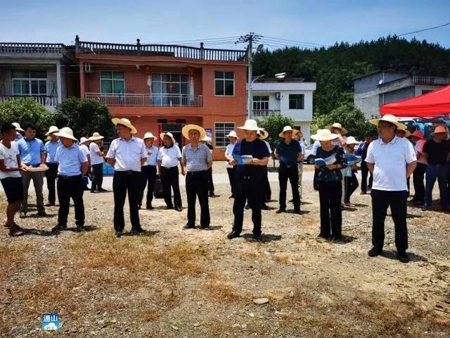 厦铺镇光伏扶贫项目:该项目位于厦铺镇西湖村,由通山县扶贫投资开发
