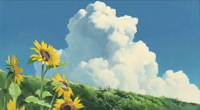 一眼望去超壮观, 花比人高,配上蓝天白云,像极了宫崎骏动漫里的场景!