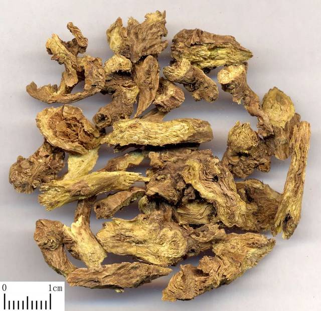 黄芩 产品特点 1. 道地药材,纯中药制剂,无药残,使用安全. 2.