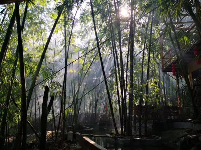 广东民宿赏鉴:花都红山村の竹园