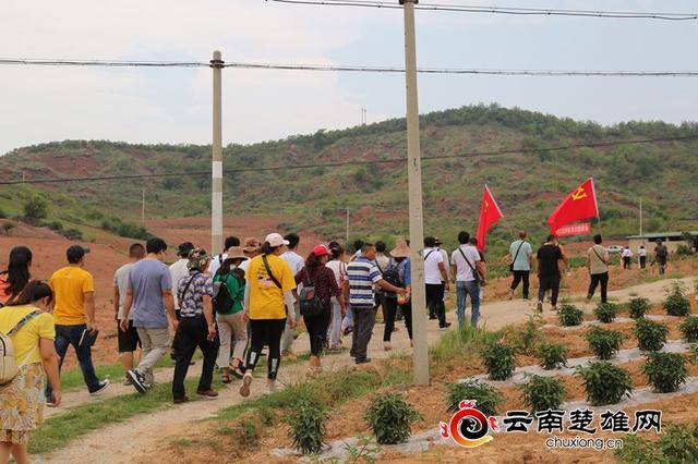 禄丰金山镇:实训"小基地"发挥"大作用"