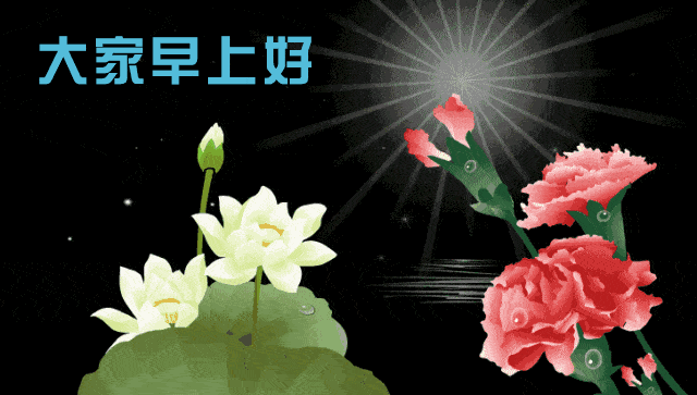 清晨有了鸟语花香,总是那么恬静,早安