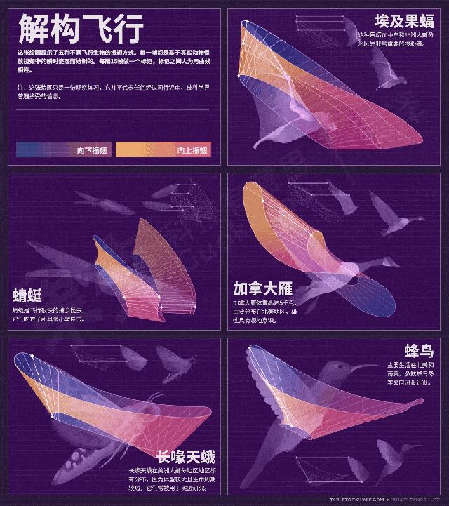 小小飞行梦|南京航空航天大学6天5晚科学营_手机搜狐网