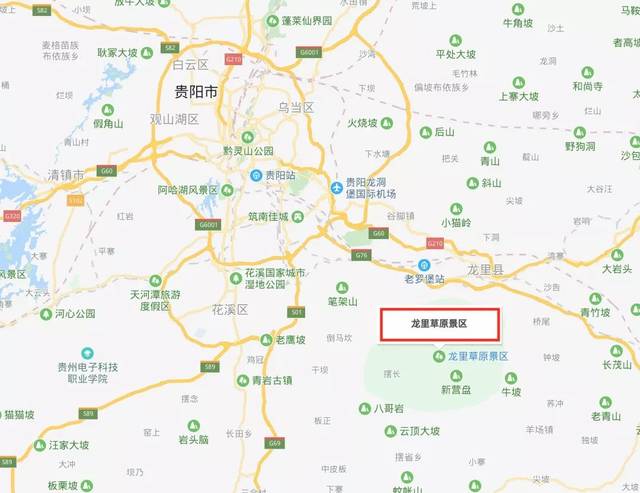 龙里大草原再次被瞩目!梦幻灯光节,星空音乐节!门票免费送!整整45天!