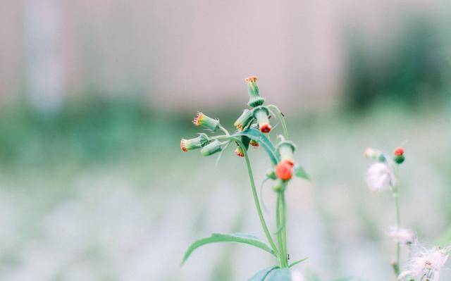 优秀如天蝎男,也很难追到这三大星座女!