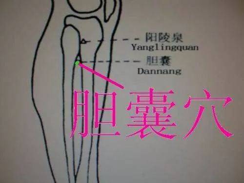 治疗胆囊炎胆结石的艾灸穴位和方法