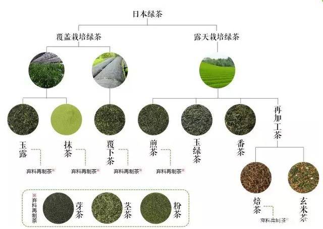 中国绿茶与日本绿茶有何区别?