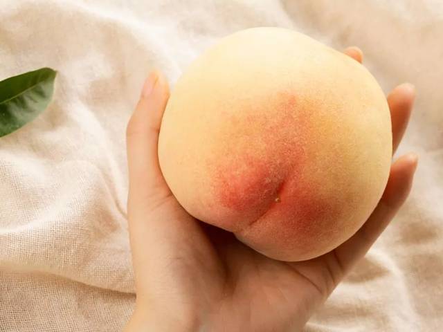 杨梅吃完吃桃子!无锡阳山白凤水蜜桃要"抢鲜吃!