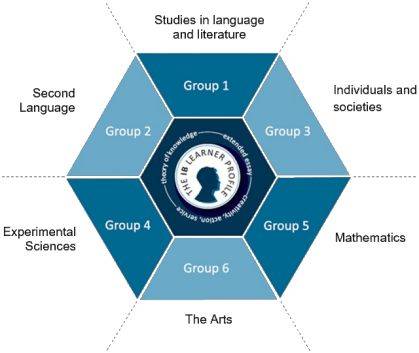 IB查分&详解攻略请收好!