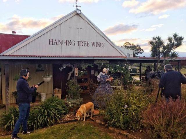 澳洲最知名的猎人谷红酒产区,都有哪些值得推