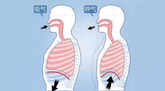 原创呼吸也会影响训练!知道这3个呼吸原则,轻松提高训练质量!