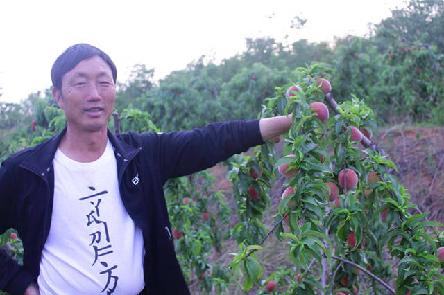 常村镇的人口_辉县常村镇固村(2)