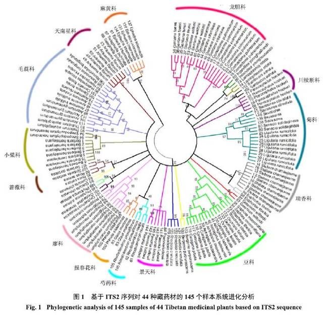 基于ITS2序列对藏药材植物的分子鉴定