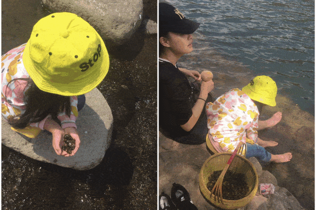 2幢房舍共有20余间客房特意处理的 防撞桌角,亦是对 亲子家庭的贴心