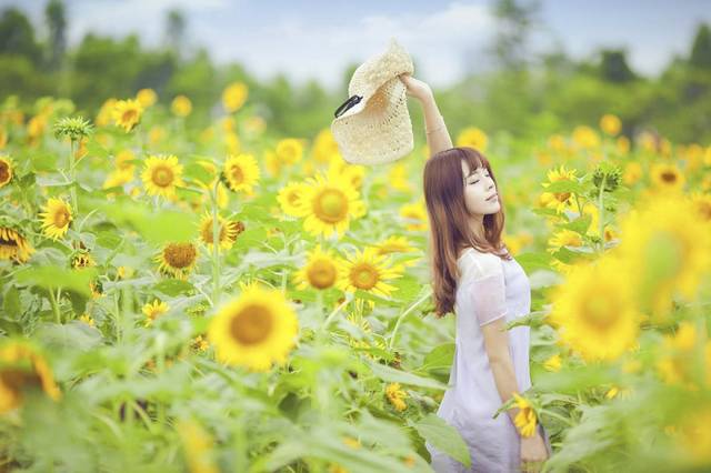 原创向日葵花田唯美人像如何拍摄?拍摄技巧,pose,服装道具全攻略