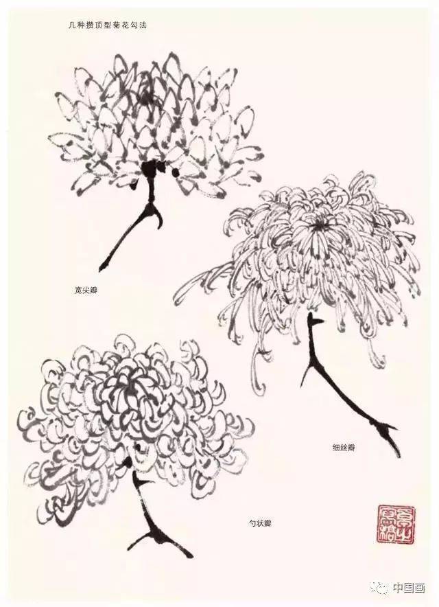 写意菊花画法清晰明了