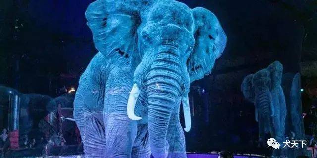 意大利著名驯兽师彩排时遭4老虎围攻凌虐致死